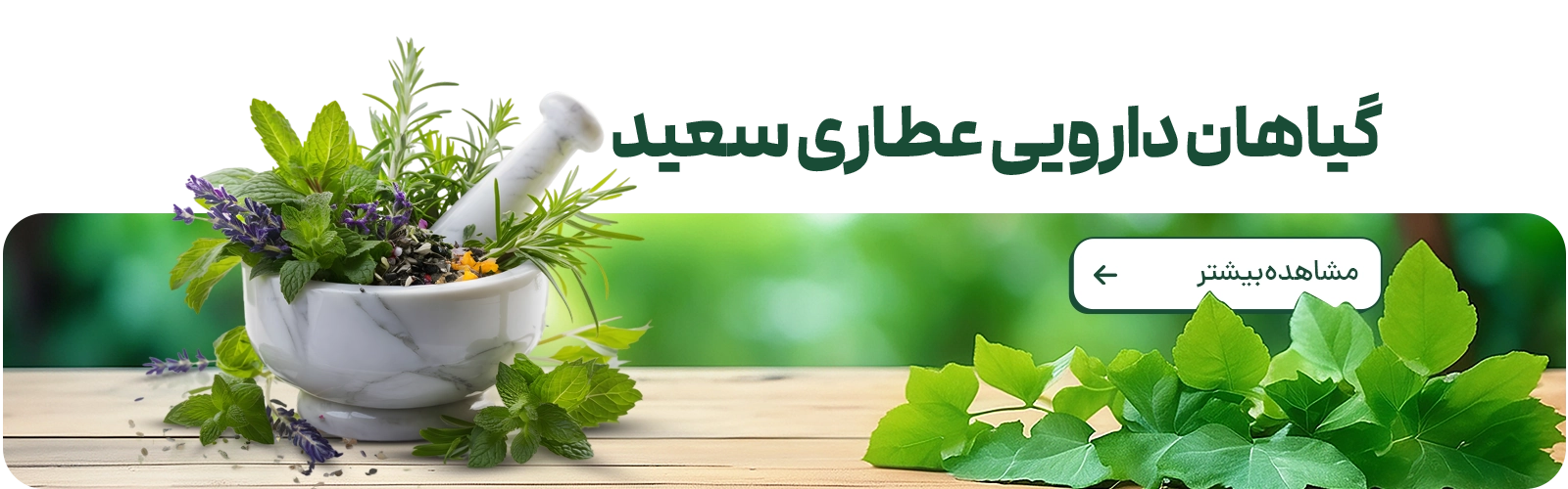 گیاهان دارویی